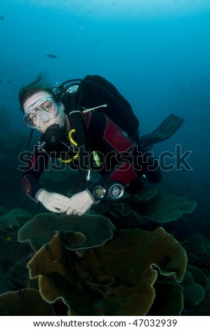 woman scuba diver swimming in clear blue water behind coral structure