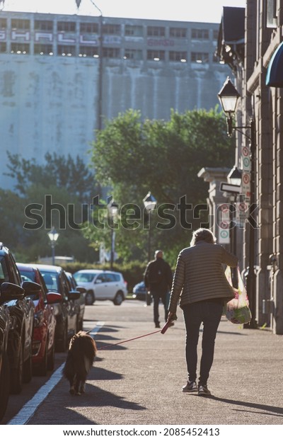 Woman seen from behind walking her dog in Old\
Montreal, facing the sun