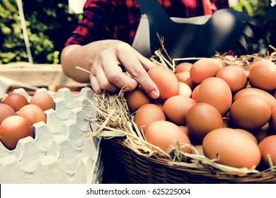 Woman Selling Fresh Chicken Eggs at Local Farmer Market
