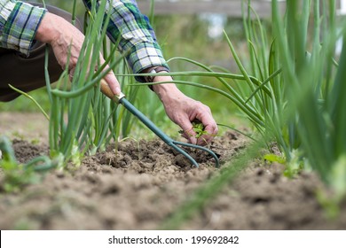 Woman senior gardening with tools outdoors - Powered by Shutterstock