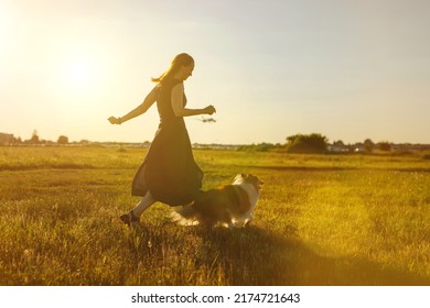 1,880 Sheltie running Images, Stock Photos & Vectors | Shutterstock