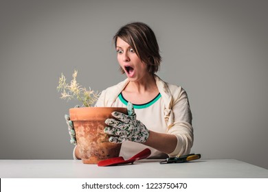 Woman Shocked By Her Dying Dry Plant.