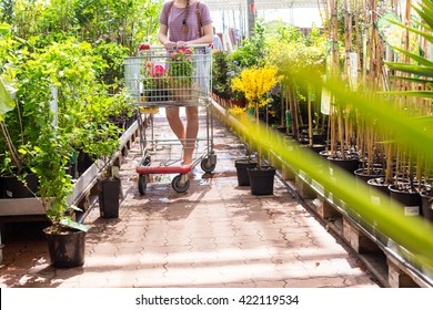 Woman With Shopping Cart In Garden Center