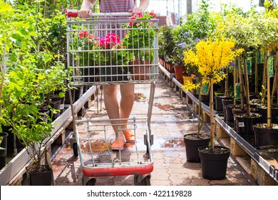 Woman With Shopping Cart In Garden Center 