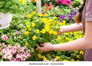 Woman With Shopping Cart In Garden Center 