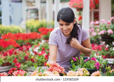 Woman Shopping For And Looking At Plants In Garden Center