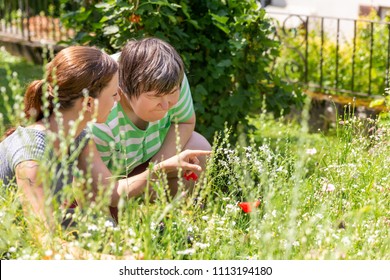 woman is showing an mental disabled woman a flower in a flower meadow