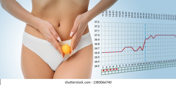 Woman Showing Ovulation Process Holding Near Ovary Ball Like Ovum. Fertile Human Egg On The Background Basal Body Temperature Chart