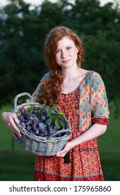 Woman Shows A Basket With Blue Plums