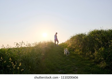 Woman Silhouette with a dog walking up a gravel path at sunset against the sun and a country fiel in a scenic landscape conceptual of a summer seasons