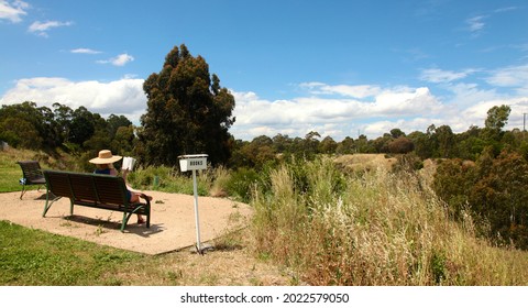 A Woman Sits On A Park Bench On Nature Reading A Book, Next To Her Is A Book Drop Off Box.