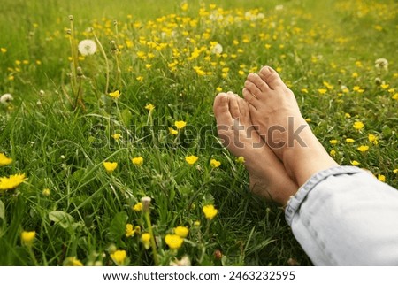 Similar – Image, Stock Photo bare feet on green meadow with white and yellow flowers