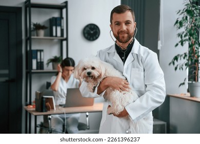 Woman is sitting by laptop. Male and female doctors are taking care of maltese dog in the clinic. - Shutterstock ID 2261396237