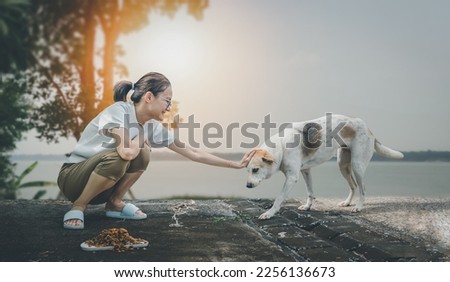 A woman sitting feeding stray dogs