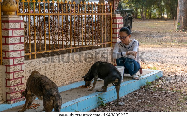 feeding stray dogs download