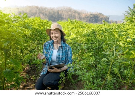 Similar – Image, Stock Photo chili planting agriculture