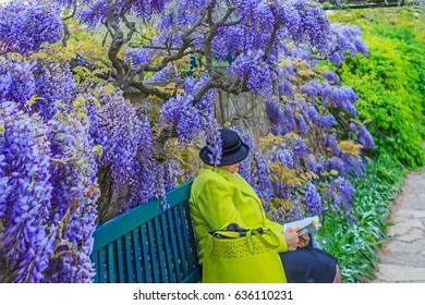 Woman Sitting On A Bench And Reading A Book On Wisteria Lane