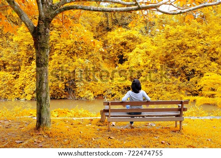 Woman sitting on the bench watching yellow leaves tree in autumn. Feeling freedom and easy.