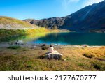 
Woman is sitting on the rock near Summit Lake in Hatcher Pass southwest part of the Talkeetna Mountains, Alaska.