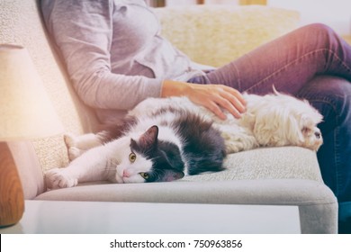 Frau sitzt mit ihrem kleinen Hund und ihrer Katze auf dem Sofa im Wohnzimmer