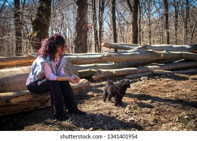 Woman sitting on trees in the forest with small poodle dog - Shutterstock ID 1341401954