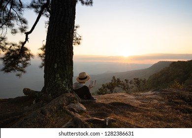 Woman sitting under pine tree reading book  looking out at beautiful natural view - Powered by Shutterstock