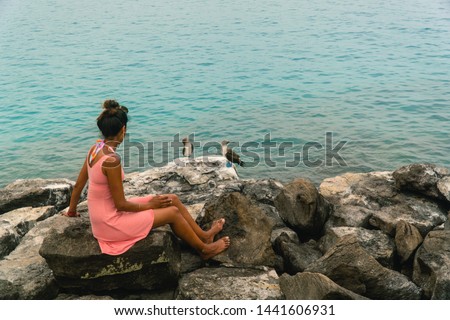 Woman sitting and watching two beautiful blue footed boobie birds. Natural wildlife shot in San Cristobal, Galapagos. 

Boobies bird on rocks with ocean sea background. Wild animal in nature. Holiday