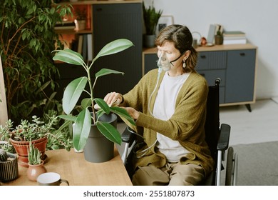 Woman sitting in a wheelchair, using an oxygen mask, and tending indoor plants in home or office environment, large leafed plant and various small potted plants are placed on table - Powered by Shutterstock