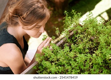 Woman, smell and herbs in garden for aroma, fresh plants and agriculture harvest for healthy food. Above, girl and basil leaves for fresh scent, sustainable farming and nutrition for organic medicine - Powered by Shutterstock