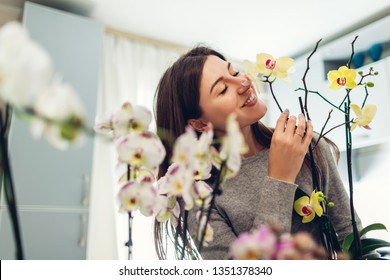 Woman smelling orchids on kitchen. Happy housewife taking care of home plants and flowers. - Powered by Shutterstock