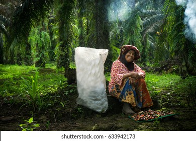 A Woman Smiling And Feel Happy Working At Oil Palm Farm Plantation 