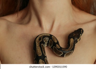 Girl Having Sex With Snake