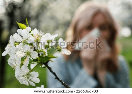 Woman sneezing and blowing nose in blooming park. Spring pollen allergy and hay fever. Selective focus on blossom