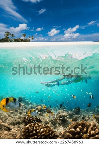 woman snorkeling in clear tropical water with exotic fish