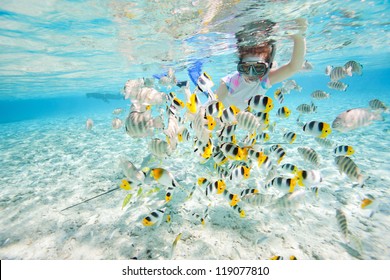 Woman Snorkeling In Clear Tropical Waters Among Colorful Fish