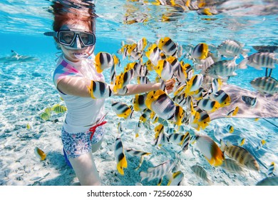 Femme faisant du snorkeling dans les eaux claires des tropiques parmi les poissons colorés