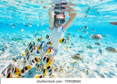 1,678 Bora bora fish Images, Stock Photos & Vectors | Shutterstock