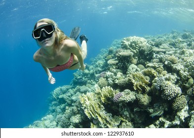 Woman Snorkeling And Free Diving On A Coral Reef