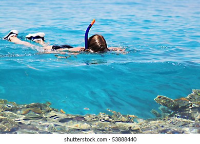 Woman Snorkeling In Red Sea