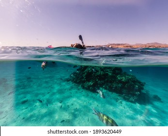 Woman Snorkeling Underwater And Surface Split View