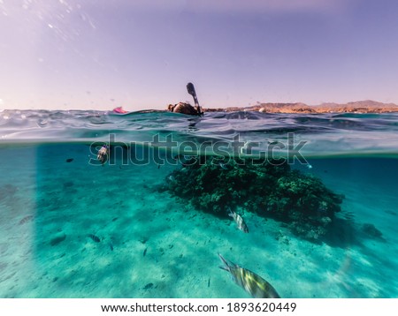 Similar – Unbekannter Jugendlicher in Neoprenanzug und Schnorchel im klaren Wasser mit felsigen Klippen von Menorca, Spanien, geteilter Blick über und unter der Wasseroberfläche