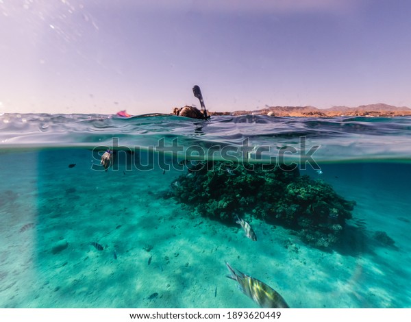 Woman
snorkeling underwater and surface split
view