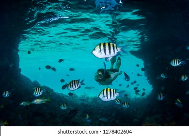 A Woman Snorkels Among A School Of Tropical Reef Fish Inside Of The Thunderball Grotto Near Staniel Cay, Exuma, Bahamas