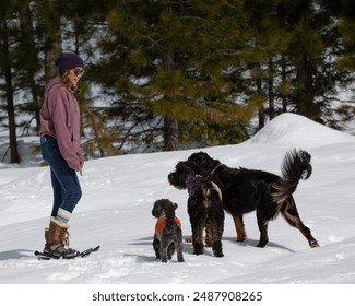 woman snowshoeing with her dogs in the wilderness.  - Powered by Shutterstock