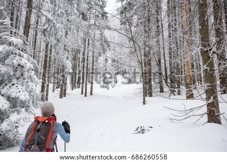 Woman Snowshoeing through Winter forest