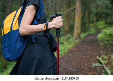Woman solo traveler with trekking poles in pine forest on the path. GO Everywhere