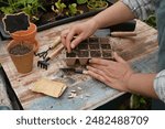 woman sowing seeds in a seedbed for planting in the vegetable garden