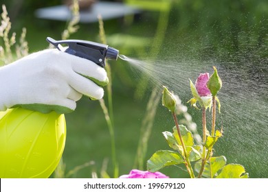 Woman spraying flowers in the garden - Powered by Shutterstock