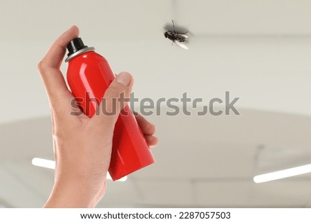 Woman spraying insect aerosol on fly in room, closeup