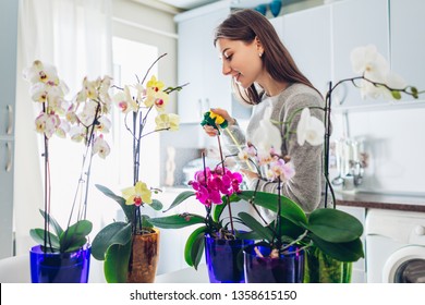 Woman Spraying Water On Orchids On Kitchen. Houswife Taking Care Of Home Plants